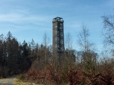 Holiday house Seekoje haus am möhnesee - Environment photo 18