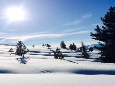 Holiday apartment Himmelreich - Environment photo 27