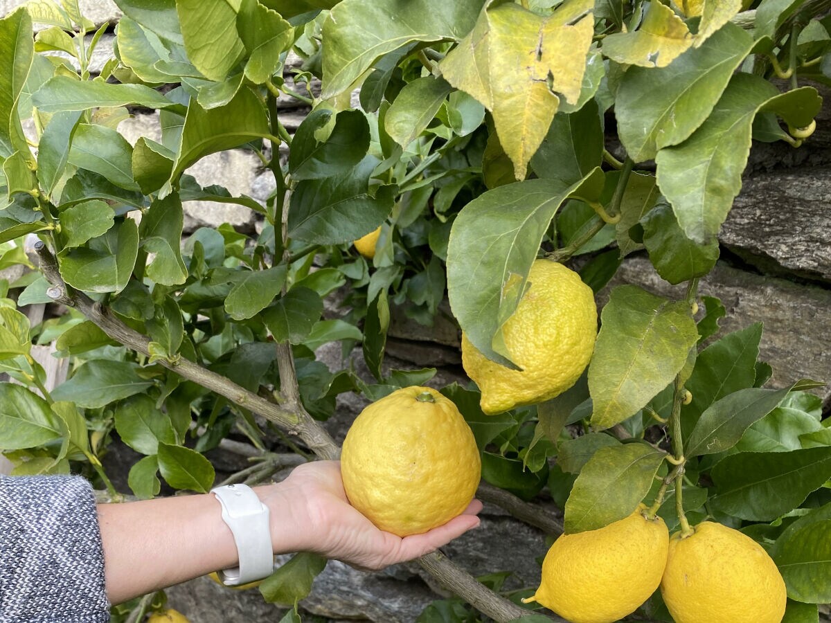 Finca Caprioglio - Outdoor photo 5