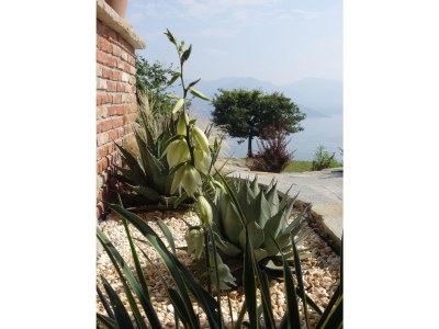Finca Caprioglio - Document photo 35