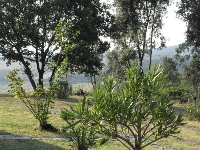 Holiday apartment In the detached country house Benefei - Outdoor photo 4