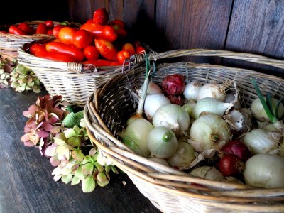 Holiday apartment Casa Rondini - Environment photo 27