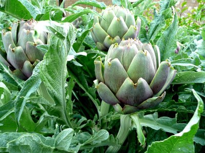 Holiday apartment Casa Rondini - Environment photo 28