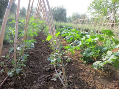 Holiday apartment Casa Rondini - Environment photo 32