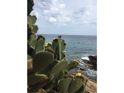 Holiday house Cavalaire Bonporteau - Maison 57' - Environment photo 28