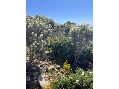 Holiday house Cavalaire Bonporteau - Maison 57' - Environment photo 29