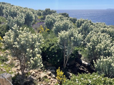 Holiday house Cavalaire Bonporteau - Maison 57' - Environment photo 30