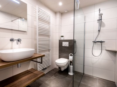 Holiday apartment Bosrand Domburg - Features photo 16