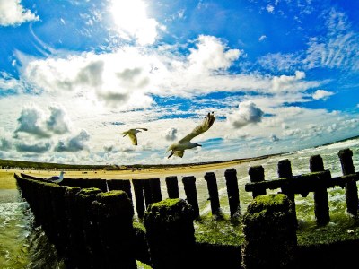 Holiday apartment Bosrand Domburg - Environment photo 23