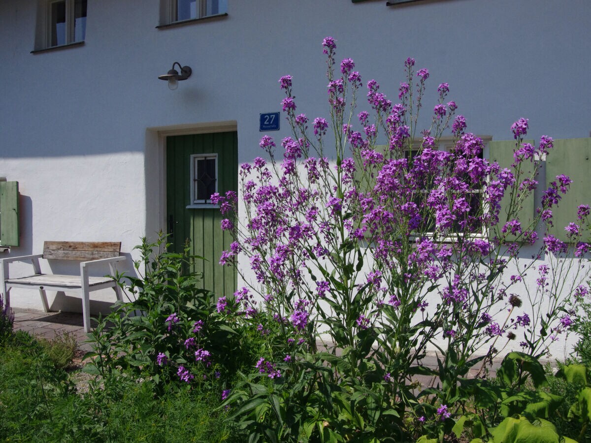 Holiday house 'Fischerhaus' - Outdoor photo 3