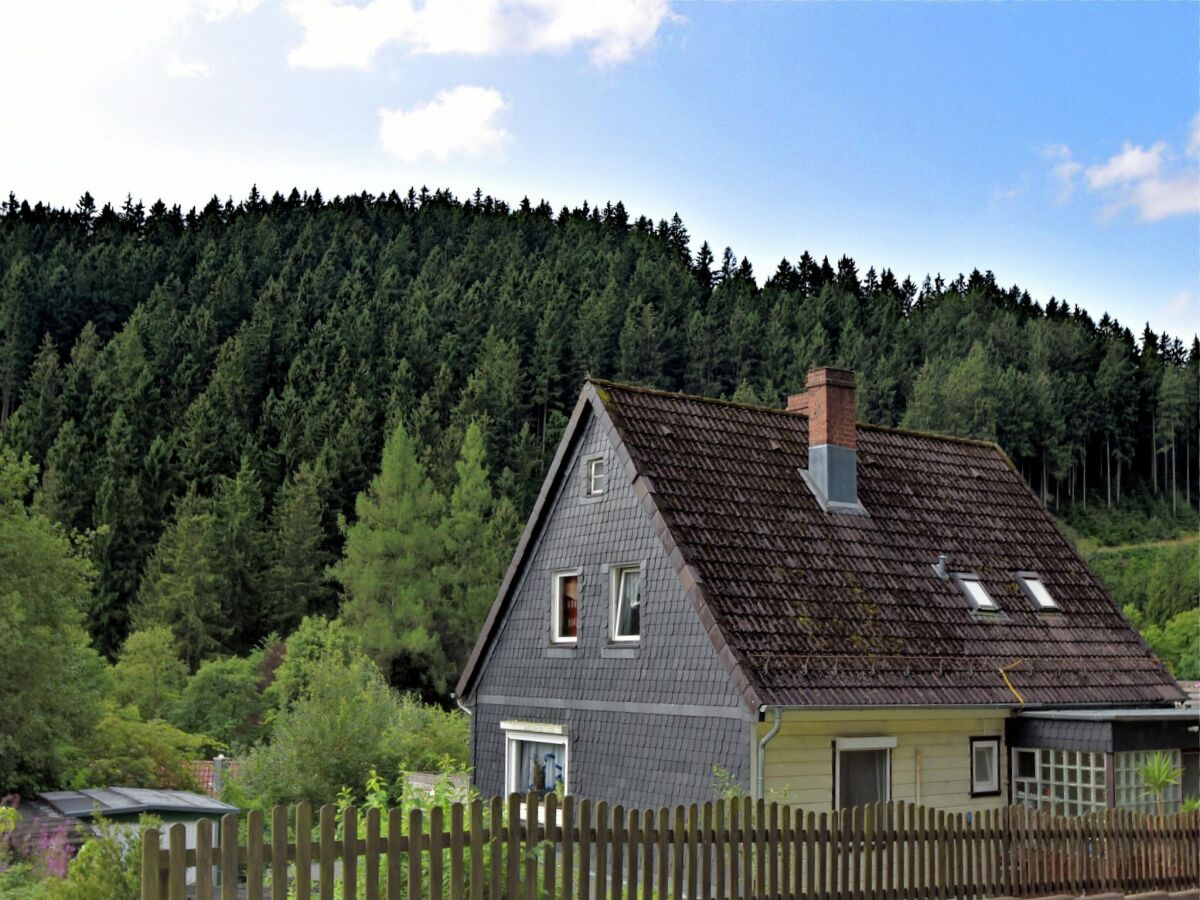 Apartment Wald-Ferienwohnung in Wildemann - Outdoor photo 5