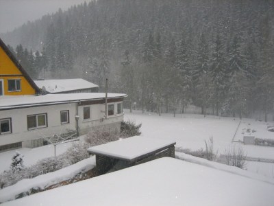 Apartment Wald-Ferienwohnung in Wildemann - Outdoor photo 4