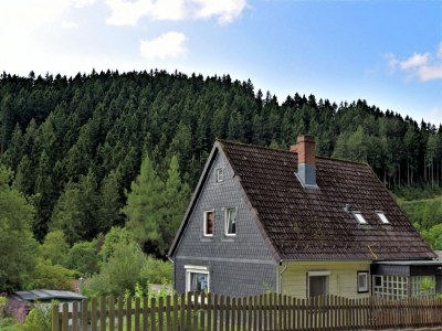 Apartment Wald-Ferienwohnung in Wildemann - Outdoor photo 5