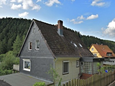 Apartment Wald-Ferienwohnung in Wildemann - Outdoor photo 6