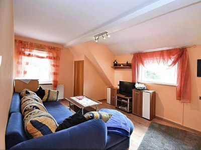 Apartment Wald-Ferienwohnung in Wildemann - Features photo 14