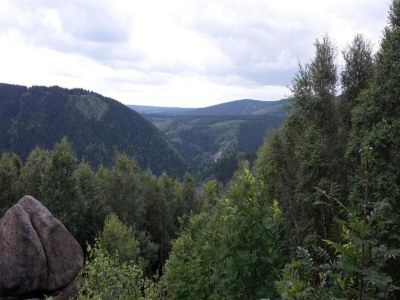 Apartment Wald-Ferienwohnung in Wildemann - Environment photo 22