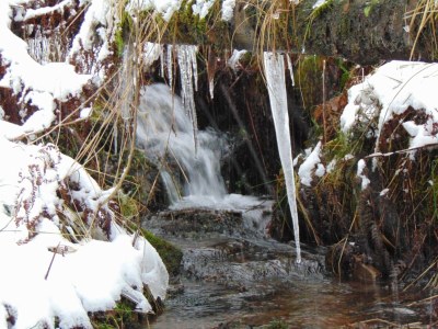 Apartment Wald-Ferienwohnung in Wildemann - Environment photo 23