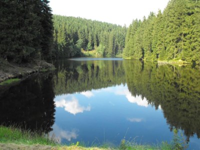 Apartment Wald-Ferienwohnung in Wildemann - Environment photo 24