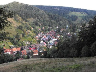 Apartment Wald-Ferienwohnung in Wildemann - Environment photo 28