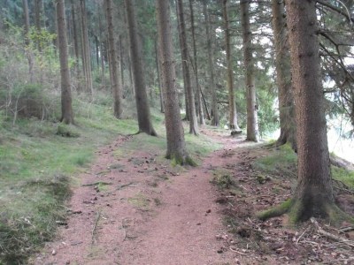 Apartment Wald-Ferienwohnung in Wildemann - Environment photo 29