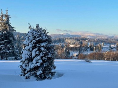 Apartment Wald-Ferienwohnung in Wildemann - Environment photo 30