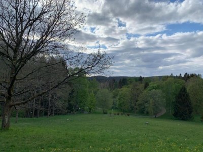 Apartment Wald-Ferienwohnung in Wildemann - Environment photo 31