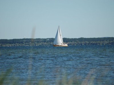 Holiday house Villa Jane - Environment photo 22