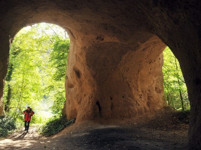 Holiday apartment Basche - Environment photo 22