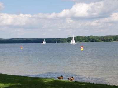 Holiday house Haus Scharmützelsee - Environment photo 19