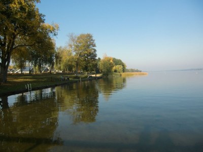 Holiday house Haus Scharmützelsee - Environment photo 20