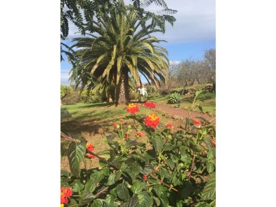 Finca Vista Atlantico - Outdoor photo 8