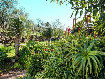 Finca Vista Atlantico - Outdoor photo 11