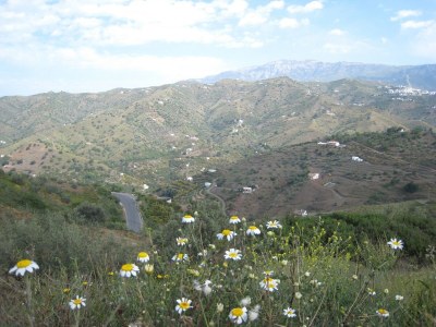 Villa Family Villa with Terrace - Environment photo 35