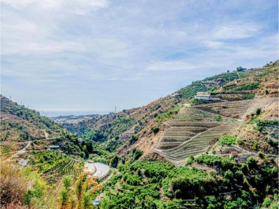 Villa Familienvilla mit Garten - Environment photo 27