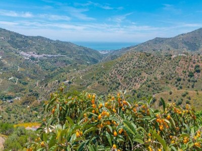 Villa Familienvilla mit Garten - Environment photo 32