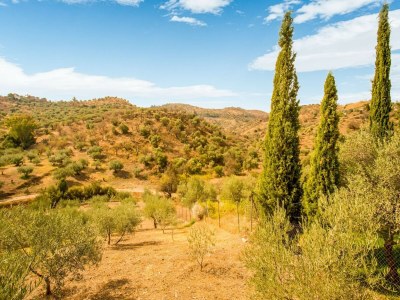 Holiday house Family Villa in Costa del Sol - Environment photo 33