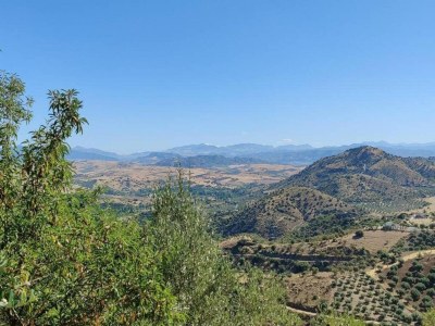 Holiday house Family Villa in Costa del Sol - Environment photo 35