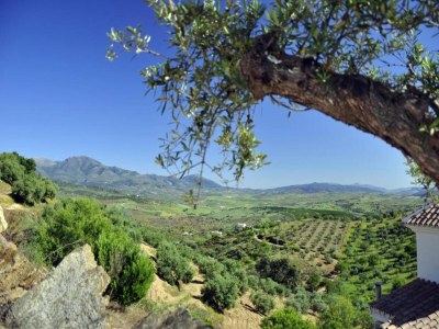 Holiday house Family Villa in Costa del Sol - Environment photo 37