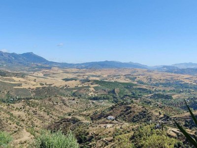 Holiday house Family Villa in Costa del Sol - Environment photo 38