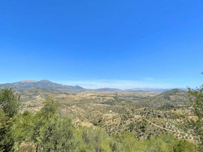 Holiday house Family Villa in Costa del Sol - Environment photo 39