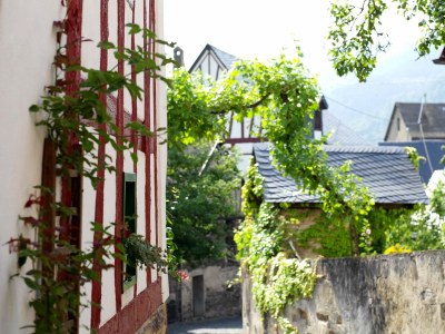 Apartment Hasensprung - Environment photo 14