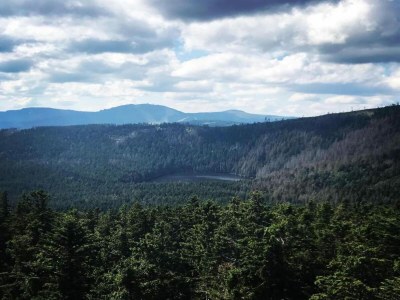 Holiday house Ferienhaus in Konzell mit Terrasse - Environment photo 26