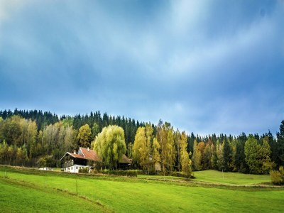 Holiday house Ferienhaus in Konzell mit Terrasse - Environment photo 34