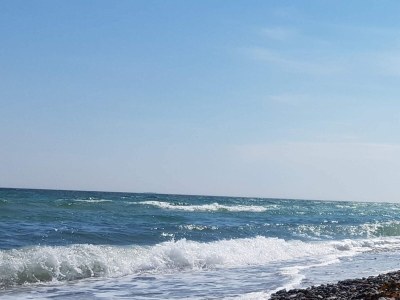 Holiday house 8 person holiday home in Ebeltoft-By Traum - Outdoor photo 41