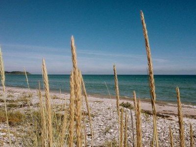 Holiday house 8 person holiday home in Ebeltoft-By Traum - Outdoor photo 45