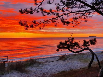 Holiday house 8 person holiday home in Ebeltoft-By Traum - Outdoor photo 46