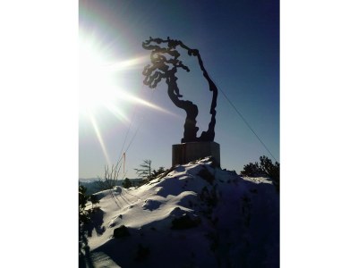 Holiday apartment Mountainspring**** - Environment photo 17