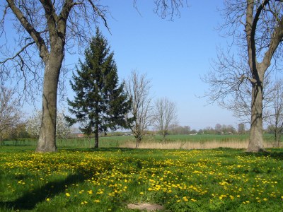 Holiday house Haus Residence - Environment photo 20