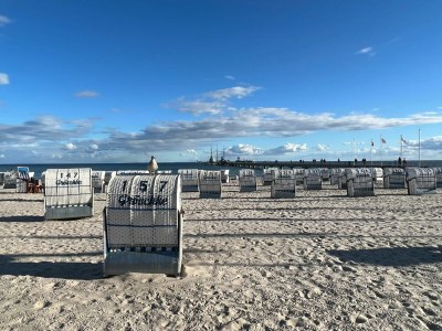 Holiday house Schenk - Environment photo 30