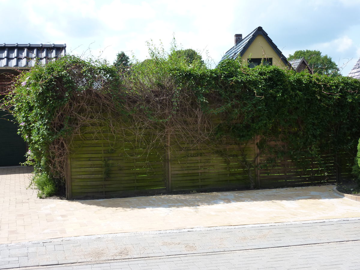 Holiday house Sonnenblume - Outdoor photo 5